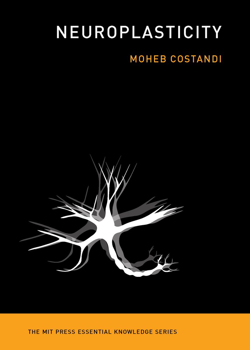 Book Cover of Neuroplasticity